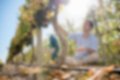 Un virtuoso del vino mendocino.