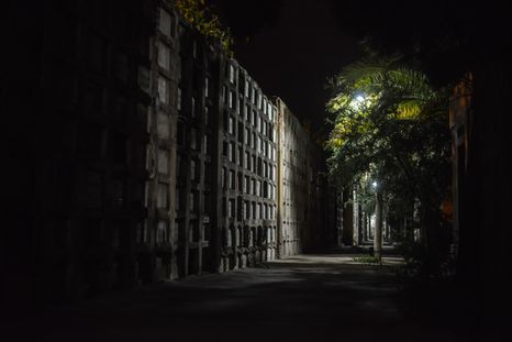 La Ciudad de Mendoza invita a vivir “Rituales del Alma” en una noche especial. La Ciudad de Mendoza invita a vivir “Rituales del Alma” en una noche especial.