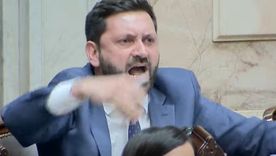 Pablo Juliano aseguró que Milei se comporta como el empleado del mes del kirchnerismo.