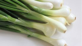 Cómo cultivar cebollas de verdeo y obtener la máxima cosecha