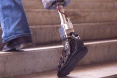 proponen dar acompanamiento sexual a discapacitados