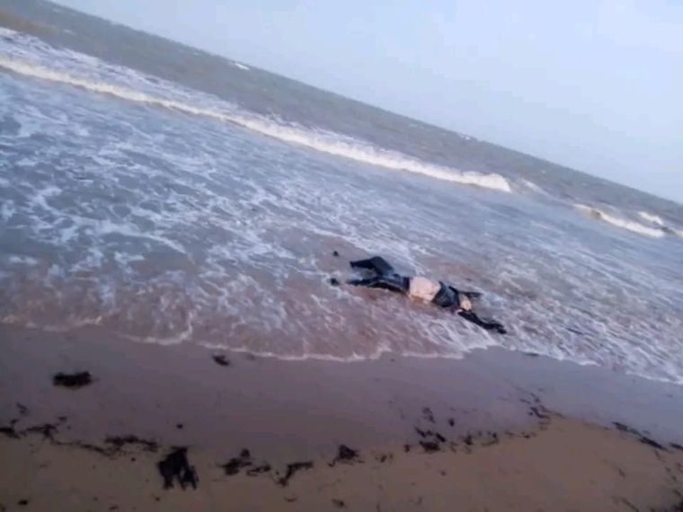 El presidente compartió la imagen a través de su cuenta oficial de X. El presidente compartió la imagen a través de su cuenta oficial de X.