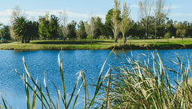 El pueblo de General Villegas invita a descubrir su costado más cultural y natural. El pueblo de General Villegas invita a descubrir su costado más cultural y natural.