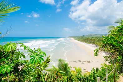 MDZol | illheus brasil