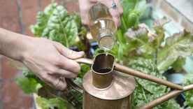 Diversos usos tiene el vinagre en las huertas. Foto: Garden Collage - gardencollage.com