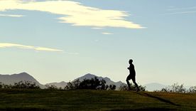 Foto: Pixabay - pixabay.com