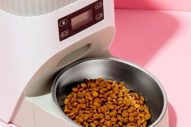 MDZol | alimento mascotas.jpg