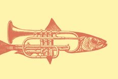 Test de personalidad