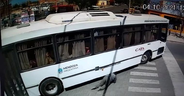 El ciclista fue arrollado por un colectivo de la empresa CATA, Foto: El Cuco Digital