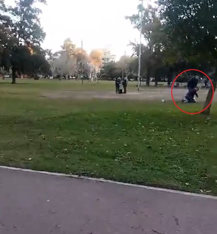 El hecho generó angustia y dolor en las redes sociales donde fue difundido el video Foto: captura video