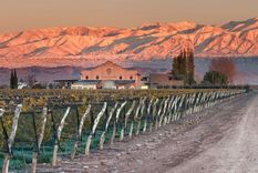 Viña Las Perdices Foto: Gentileza Viña Las Perdices Foto: Gentileza