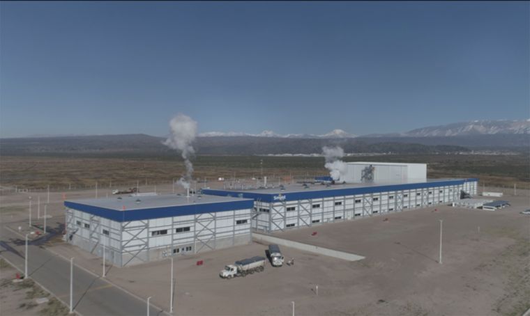 La presencia de Simplot ha sido clave para la transformación industrial del cultivo de papa en Mendoza. La presencia de Simplot ha sido clave para la transformación industrial del cultivo de papa en Mendoza.