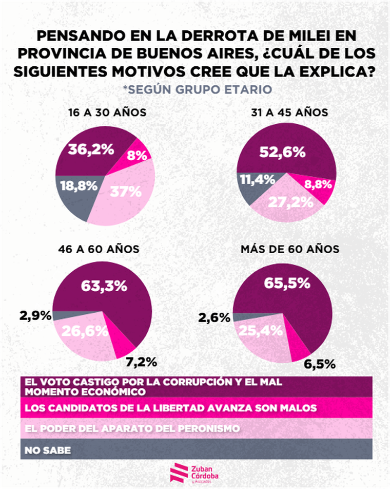 En la provincia de Buenos Aires, la mayoría de los adultos habló de “voto castigo”, mientras que los jóvenes responsabilizaron al aparato peronista. En la provincia de Buenos Aires, la mayoría de los adultos habló de “voto castigo”, mientras que los jóvenes responsabilizaron al aparato peronista.