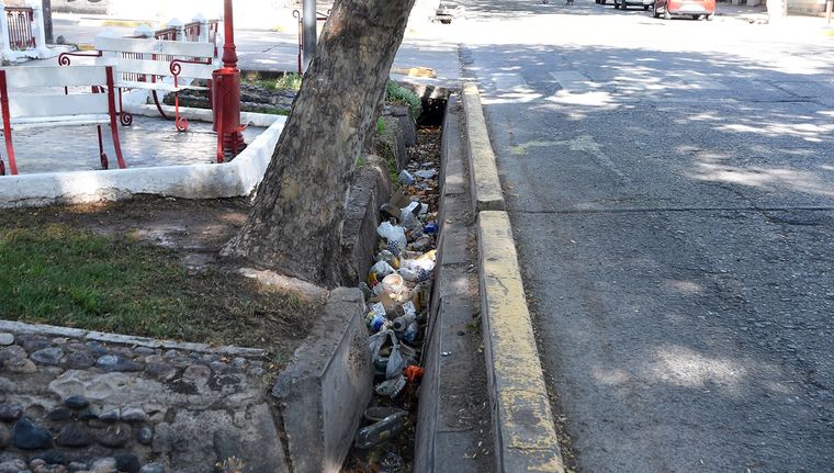 La basura acumulada en la acequia. Foto: ALF PONCE MERCADO / MDZ