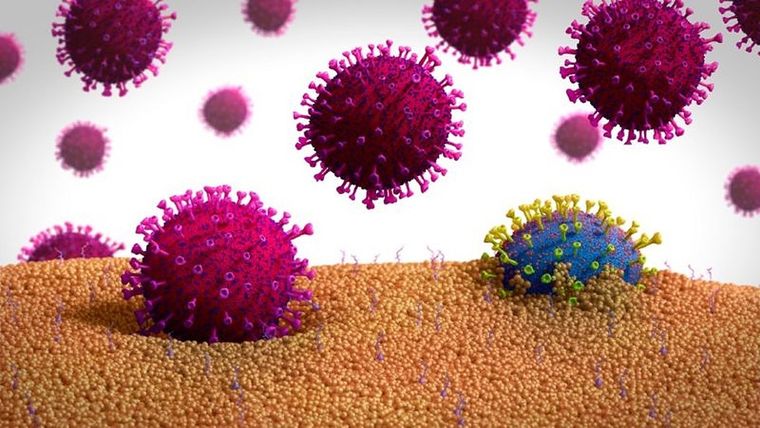 Ilustración de una forma mutada de un coronavirus (azul) que sale de una célula. Foto: GETTY IMAGES