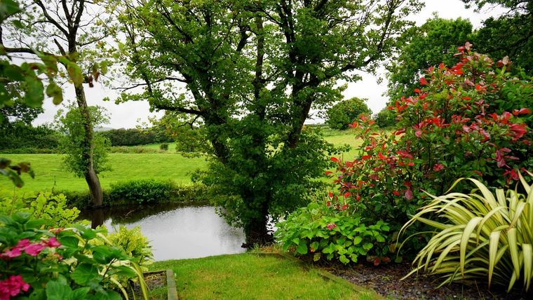 Jardín Toma nota de los cuidados fundamentales para tu jardín Foto: Pexels