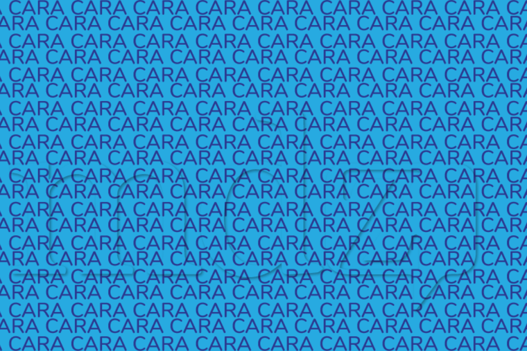 ACERTIJO VISUAL ACERTIJO VISUAL, RETO VISUAL, PALABRA Foto: MDZ ONLINE