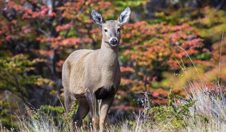 Foto: Hernán Povedano