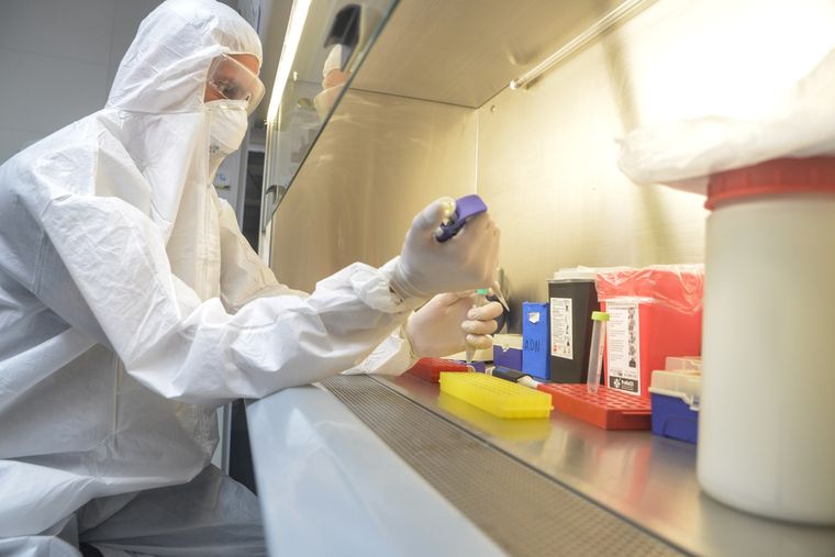 Foto: Gobierno de Mendoza