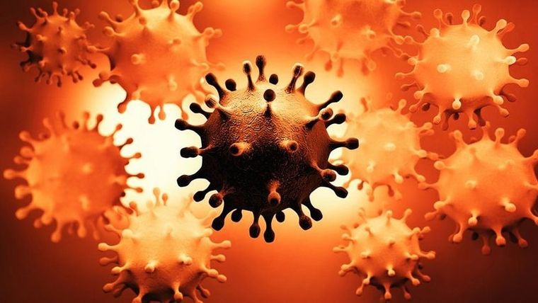 Los virus están en un proceso de mutación constante. Foto: GETTY IMAGES
