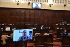 El proyecto se aprobó en una sesión semipresencial de Diputados. Foto: Prensa Cámara de Diputados