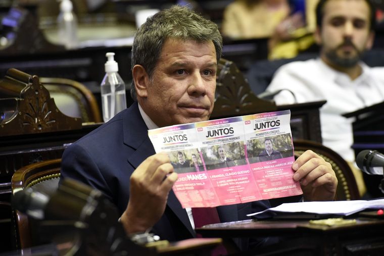 Foto: Twitter Facundo Manes