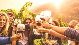 A brindar con un delicioso Malbec: es tu oportunidad. Foto: Gentileza