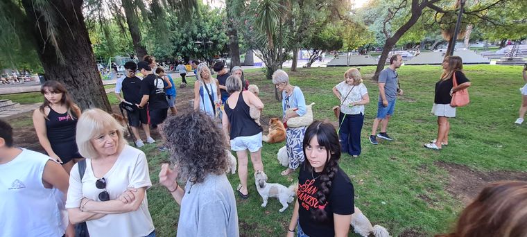 El cumple de Benja se llenó de amigos perrunos y humanos. El cumple de Benja se llenó de amigos perrunos y humanos.