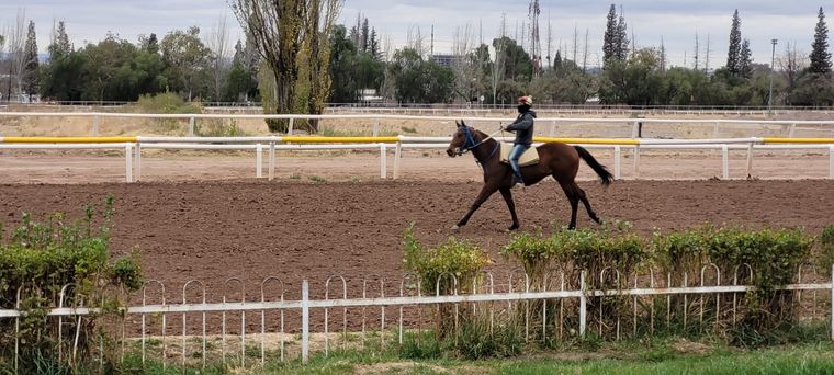 El Hipódromo de Mendoza ha sido un emblema a lo largo de los años; aunque hoy por hoy se encuentra muy descuidado Foto: Julián Crowe / MDZ
