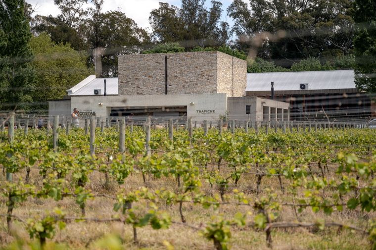 La bodega está ubicada a 6 kilómetros del mar.