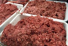 No debe comprarse la carne molida que entregan desde estos recipientes con el proceso ya hecho, sino que hay que exigir que la muelan en el momento. Foto: ALF PONCE MERCADO / MDZ