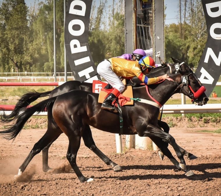 Aclamado Dubai (amarillo) estará en el clásico del domingo en Mendoza. Foto: José Maluf