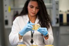 Coronavirus: las pandemias que pusieron al mundo en alerta en la historia reciente (y cómo se afrontaron)