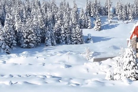 La caminata con raquetas de nieve es uno de los principales atractivos de las vacaciones de invierno. La caminata con raquetas de nieve es uno de los principales atractivos de las vacaciones de invierno.