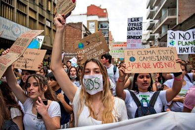 MDZol | El ecologismo se encuentra en los genes, según un estudio