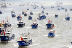 peligro: navega hacia argentina una depredadora y cruel flota china