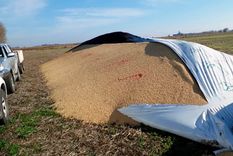 crispacion contra el campo tras el banderazo: queman trigo y rompen silobolsas