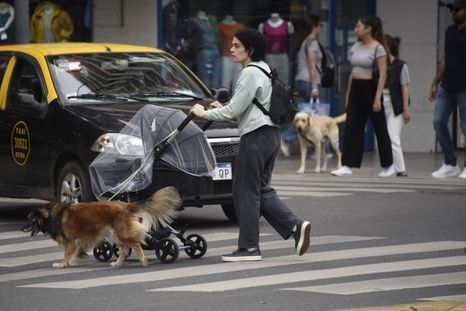 Muchas madres mendocinas crían y sostienen solas sus hogares, lo cual afecta considerablemente la salud mental de las madres. Muchas madres mendocinas crían y sostienen solas sus hogares, lo cual afecta considerablemente la salud mental de las madres.