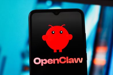 MDZol | OpenClaw - Interna 1