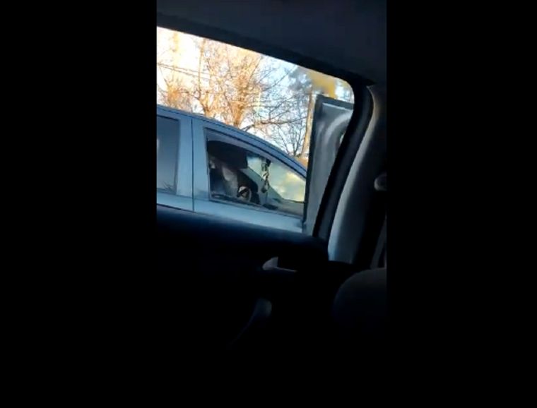 Una pelea de tránsito casi termina de la peor manera en la localidad bonaerense de Ituzaingó.