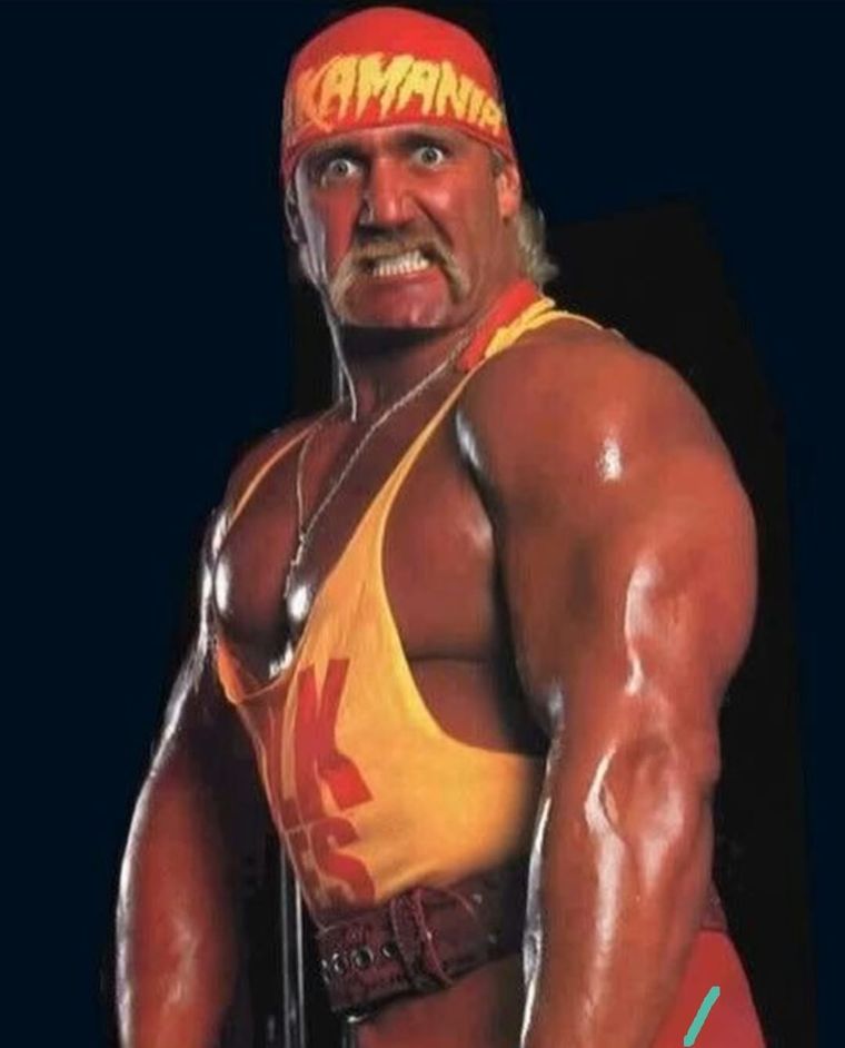 Hulk Hogan participó en éxitos de Hollywood siendo ya una estrella de la lucha libre. Hulk Hogan participó en éxitos de Hollywood siendo ya una estrella de la lucha libre.
