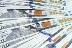 Dólares Foto: ALF PONCE MERCADO / MDZ