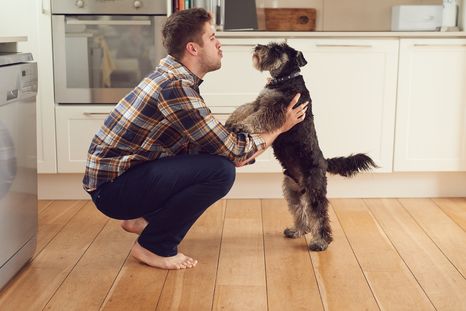 La inteligencia emocional y la empatía se fortalecen cuando tratamos a nuestras mascotas como parte activa de la familia. Foto: Shutterstock La inteligencia emocional y la empatía se fortalecen cuando tratamos a nuestras mascotas como parte activa de la familia. Foto: Shutterstock