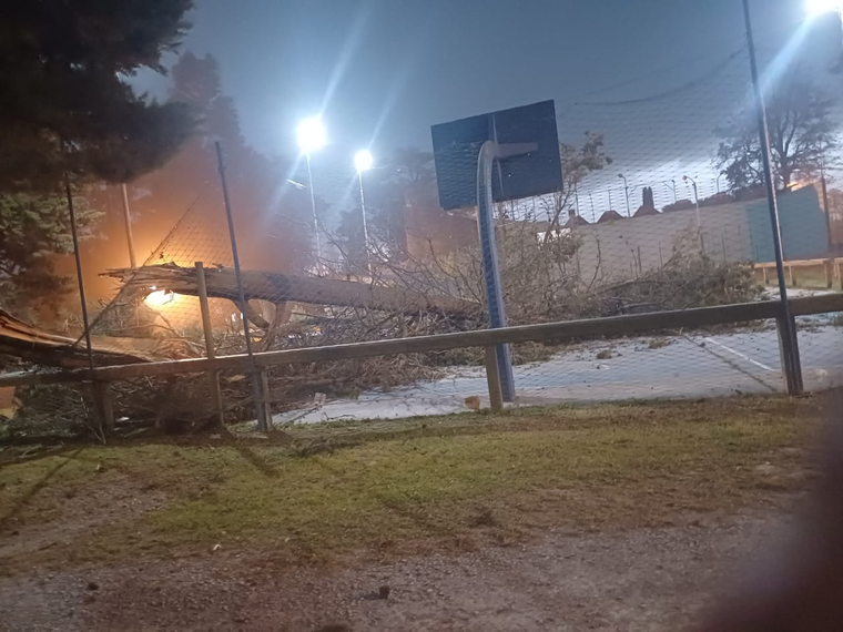 El temporal causó detrozos en varias ciudades, con Olavarria cómo principal afectado.