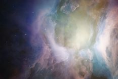 Imágen ilustrativa Foto: Shutterstock Imágen ilustrativa Foto: Shutterstock