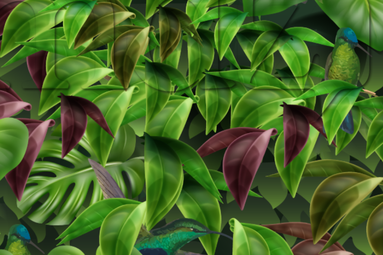 ACERTIJO VISUAL ACERTIJO VISUAL, RETO VISUAL, LORO Foto: MDZ ONLINE