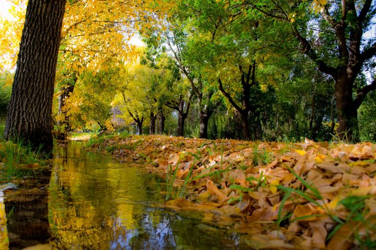 Esta villa se encuentra a minutos de San Rafael Foto: San Rafael Turismo