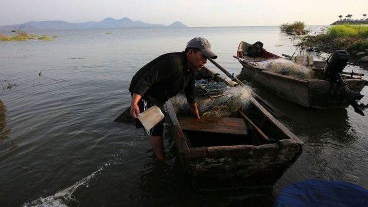 Se estima que la pesca y la acuicultura aportan US$100.000 millones al año y unos 260 millones de puestos de trabajo a la economía mundial. Foto: GETTY IMAGES