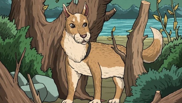 Acertijo visual, reto visual, gato