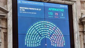 La mitad de los diputados mendocinos votó a favor y la otra mitad en contra